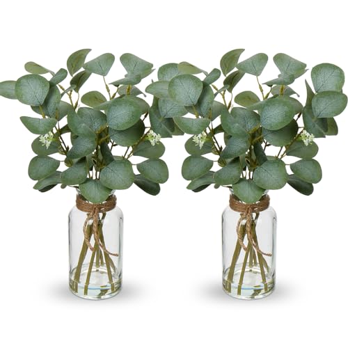 Briful Artificial Eucalyptus Stems in Glass Vase with Faux Water, 14" Fake Plant Eucalyptus Leaves for Home Farmhouse Wedding Centerpiece Bathroom Décor, 2 Packs - color: Clear Dual