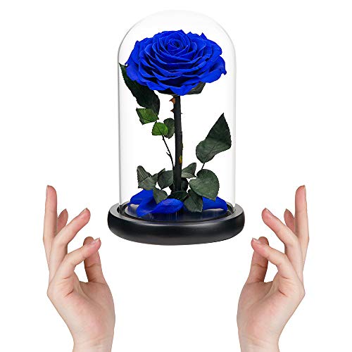 Preserved Roses Handmade Rose in Glass Dome, Preserved Flowers Never Withered Romantic Gifts for Her, Mother's Day, Birthday Gifts for Women (9 inch, Blue) - color: Royal Blue, size: Large