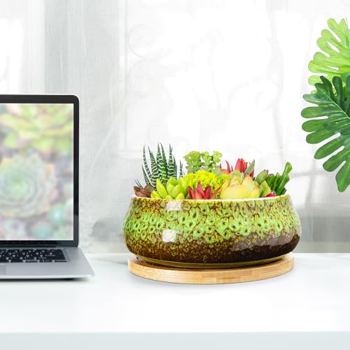 ARTKETTY Succulent Pots - 8 Inch Plant Pot, Large Bonsai Pots with Drainage Tray, Ceramic Planters for Indoor Outdoor Plants, Round Shallow Cactus Flower Plant Container Bowl Decorative Home Garden - color: Green