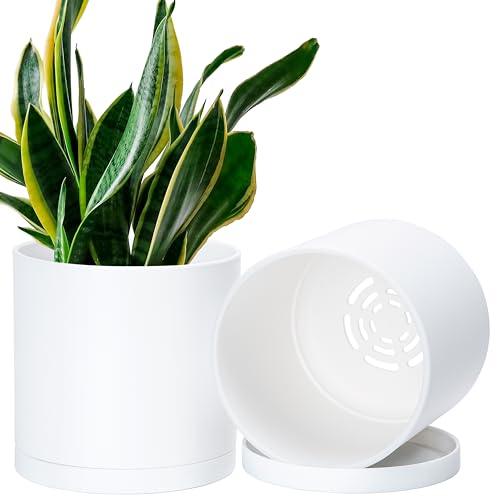 D'vine Dev 2 Pack 6.5 Inch Modern Plastic Plant Pots, Small Garden Planters for Plant with Drainage Holes and Saucers, White Color, 74-Z-L-1 - size: 6.5"