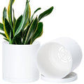 D'vine Dev 2 Pack 6.5 Inch Modern Plastic Plant Pots, Small Garden Planters for Plant with Drainage Holes and Saucers, White Color, 74-Z-L-1 - size: 6.5"