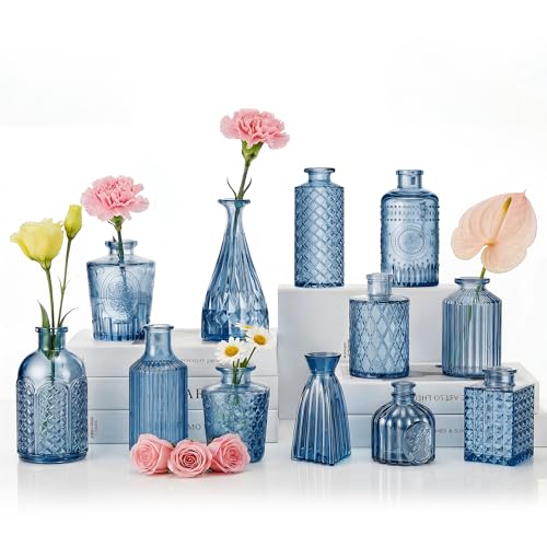 12 Pcs Blue Bud Vases Set, Armber Small Vintage Glass Clear Bud Flower Vases Bulk Multiple Shape Cute Mini Glass Bottles Vases for Rustic Wedding Centerpieces Table Decorations and Home Decor - color: Blue