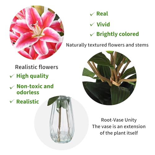 6 Pcs Artificial Lily Flowers with Glass Vase, 19.7" Faux Stargazer Lily Stems with 2 Blooms and 1 Bud Each, Faux Tiger Bouquets for Home, Hotel, Party Flower Arrangement Decor (Magenta Red) - color: Magenta Red, size: Lily