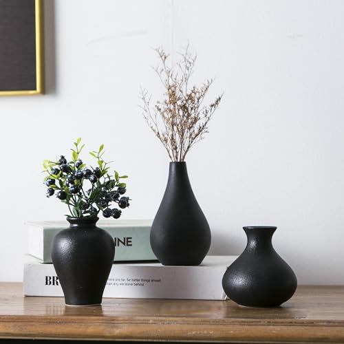 Black Bud Vases, Ceramic Small Vase Set of 5, Mini Vases for Fresh and Dried Flowers, Modern Home Decor, Pottery Centerpiece Table Decorations - color: Black - 5 Pcs