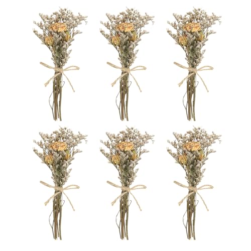 PATIKIL Mini Dried Flower Bouquet, 6 Pcs Rose Natural Wildflower with Stem Decor Baby's Breath Boho Floral Plant Flower for Crafts DIY Photo Props Gift Wedding Decor, Cream - color: Cream