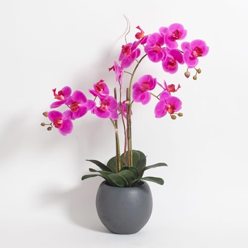 CG Hunter Faux Pink Orchid Plant, Premium Artificial Indoor Flower Display Stands 25-Inches with Beautiful Sculptural Blooms and Foliage that Lasts Forever, Grey Planter Pot Included - size: 25" Pink Double Stem