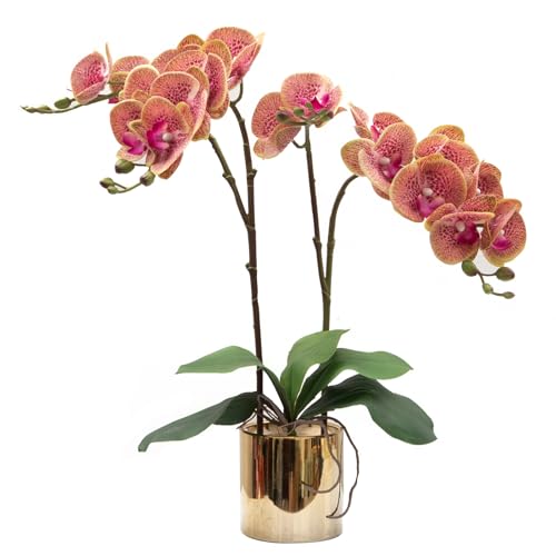 CXGS Artificial Orchid Flower Plant Real Touch Faux Orchids in Ceramic Vase Purple Dapple 19.7'' Fake Phalaenopsis Flower Arrangement Centerpiece Home Indoor Decor - color: Purple Dapple- Golden
