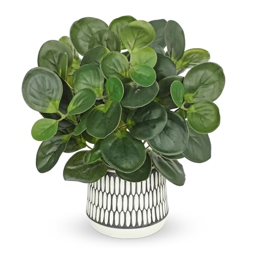 12" Artificial Plants Indoor Small Fake Plant in Ceramic Pot, Silk Plants for Home Decor Indoor, Faux Peperomia Potted Plant for Shelves, Desks, Home, Room, Office, Bedroom, Entryway, Tabletop Decor - color: #Green #4
