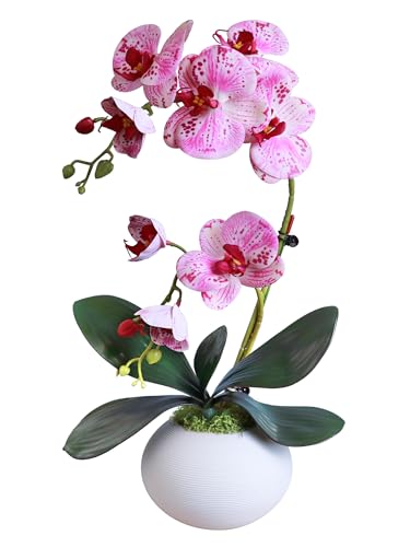 Forlaoers Purple 17" Tall Fake Orchids Small Artificial Plants Faux Flowers in Vase Silk Flowers for Home Decor Indoor Dining Room Table Centerpiece Floral Arrangements Decoration - color: A6:grape Purple Orchid With Vase