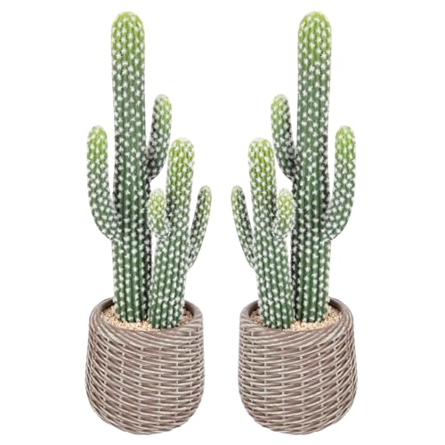 Nafresh Tall UV Resistant Faux Cactus Plant in Brown Woven Planter, 25in Realistic Texture Tall Fake Plant, Artificial Cactus Indoor Outdoor for Home Office Living Room Bedroom Porch Decor, 2 Pack - size: 25in - 2pack