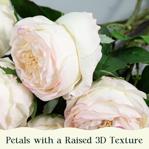 4 Pcs Real Touch Peonies Artificial Flowers, 3.5'' Big Bloom Austin Rose Peony Latex Fake Flower with Stems for Wedding Bouquet Party Valentines Arrangement Home Kitchen (Edge Pink) - color: Edge Pink