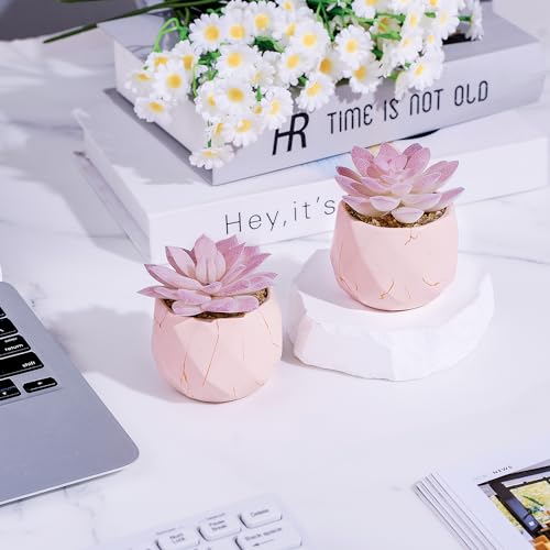 ZENIDA Artificial Succulent Plants in 2 Pink Ceramic Pots, Cute Fake Plants for Vanity Decor,Office, Desk, Bathroom, Kitchen,Bedroom, Shelves Decor for Women,Girls Gift - color: Pink