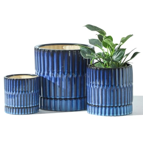 HASENSE Ceramic Plant Pots Set of 3 (8+6+4.6 Inch), Flower Planters with Drainage Hole and Saucer, Indoor Planter Pots for Succulents, Herbs, Ideal for Home Office Desktop Garden Decor(Blue) - color: White (Ribbed)