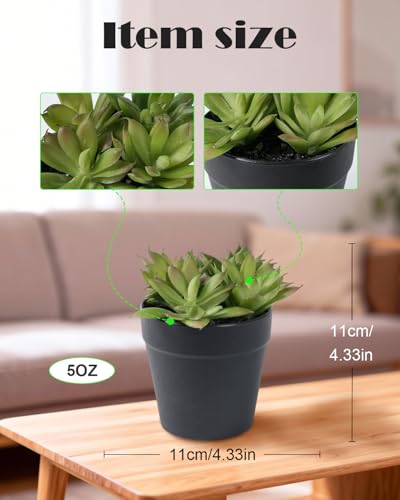 Faux Assorted Succulents - Artificial Succulent Plants for Desk, Bathroom, Shelf, or Home Decor, Realistic Greenery for Farmhouse, Office & Kitchen Decoration PA-019 - size: PA-019
