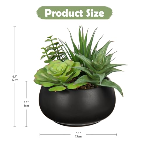 Fake Plants Artificial Succulents in Pots Faux Succulent Arrangement Potted Plant with Black Ceramic Pot for Home Decor Modern Office Desk Bathroom Shelf Living Room Indoor & Outdoor Decoration - color: Matte Black
