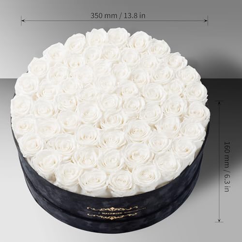 Gifts for Women – NATROSES 60 Preserved Roses in Luxury Black Velvet Box, Preserved Flowers for Delivery Gift for Her, Elegant Rose for Birthday, Mother’s Day, Christmas (White) - color: White, size: 60 Roses