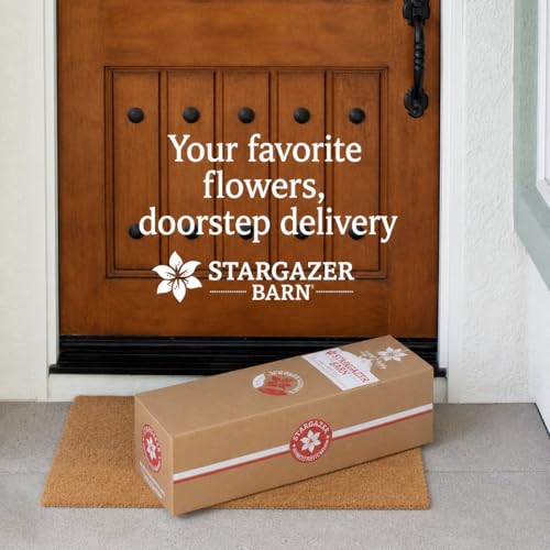 Stargazer Barn 10 Stem Sunrise Royal Lily Bouquet - Fresh Cut Flower Delivery, Hand-Tied in the USA, Gift for Birthday, Anniversary, Sympathy or Home Decor - Vase Not Included - color: Yellow/Orange/Pink