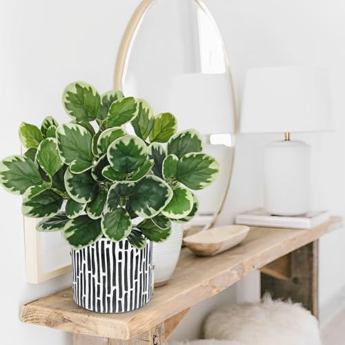 13" Artificial Plants Indoor Small Fake Plant in Ceramic Pot, Silk Plants for Home Decor Indoor, Faux Potted Plant for Shelves, Desks, Home, Room, Office, Bedroom, Farmhouse, Entryway, Tabletop Decor - color: #Green #3