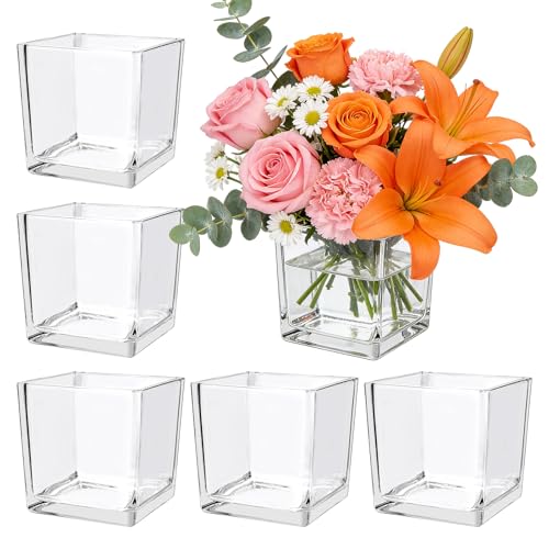 6 Pack Square Glass Vase 4" x 4" x 4", Clear Cube Vases for Centerpieces, Thickened Glass Flower Vases, Plant Terrarium, Floating Candle Holder for Wedding Party, Office/Home Decor, Events - size: 4"-6Pack
