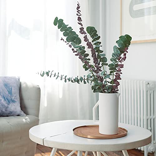 29'' Faux Eucalyptus Branches Spray Artificial Eucalyptus Leaves Long Stems Fake Flower Greenery Tall Plants Real Touch Flowers Eucalyptus for Wedding Bouquet Vase Floral Arrangement Decor 5 Pcs - color: Style #01