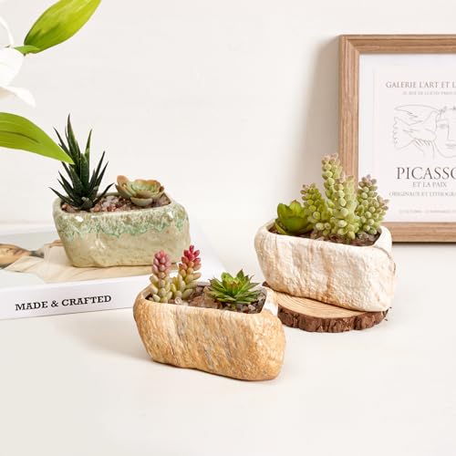 T4U 5.5 Inch Ceramic Succulent Pot Planter with Drainage Hole Set of 3, Stone Shape Rectangle Window Box Cactus Plant Containers Gift for Mom Sister Aunt Best for Home Office Table Desk Decoration