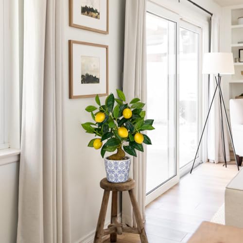 Artificial Potted Plants, 15.7 inches Small Fake Lemon Tree Artificial Lemons Citrus Tree with Blue and White Pot Faux Potted Plants Indoor Lemon Decorations for Home, Office, Living Room Table, Desk - style: Modern