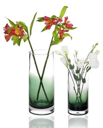 CONVIVA Green Glass Vases for Flowers Cylinder Centerpieces Set of 2, Modern Blown Colored Glass Heavy Thick Sturdy Home Decor Gift Ideas for Mother's Day Vintage Room Decor, 10" & 7" - color: Green Set of 2