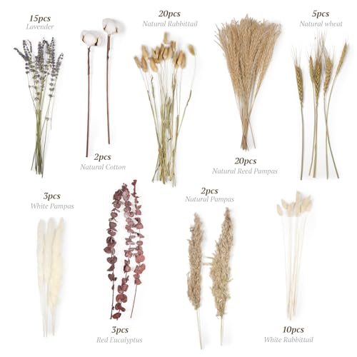 Dried Flowers Bouquet - Natural Pampas Grass Boho Decor Flower Arrangements for Rustic Home Bedroom Wedding Western Modern Decorations