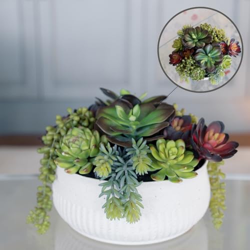 Round Faux Succulent Arrangement, 12" Premium Artificial Indoor Plant Enhances Interior Design, Display on any Surface in Your Home Adding an Inviting Touch of Nature, White Planter Pot Included - size: 12" Round White Planter