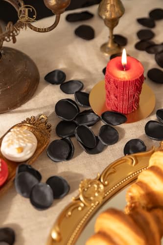 TINGE TIME 200pcs Silk Rose Petals Black Flower Petals for Wedding, Flower Girl Basket, Aisle Runner, Romantic Dinner Centerpieces, Proposal, Party Confetti - color: Black