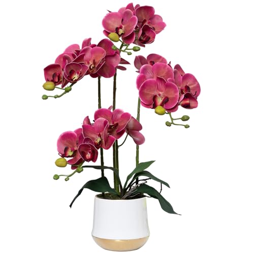 Artificial Orchid Flowers in Ceramic Vase Realistic Crimson Faux Orchids 19.5 Inch Fake Phalaenopsis Plant Arrangements for Home Indoor Centerpiece Decor (Set of 4 Stems) - color: Crimson, size: 14CM- WhiteGolden