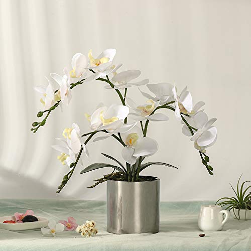LESING Potted Artificial Orchid Flowers,Real Touch White Fake Artificial Orchid Flower in Silver Vase Arrangement for Table Living Room Decoration (White,Silver Vase) - color: White,silver Vase