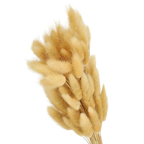 PATIKIL 15.7in Bunny Tails Dried Flowers, 80pcs Pampas Grass Decor Rabbit Tail Natural Pampas Grass Bulk Fluffy Faux Pampas Grass Dried for Home Boho Decor Vase Wedding Table, Beige - color: Beige