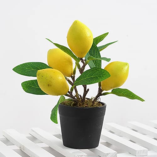 QTMY 2 Pack Artificial Mini Lemon Tree Potted Plants, Nearly Natural Fake Plant Lemon Decor for Kitchen, Indoor, Living Room, Bedroom