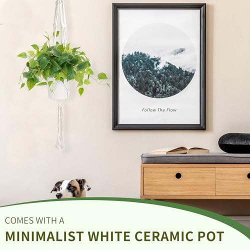 JPSOR Faux Plants Indoor, Pothos Small Fake Plants for Home Decor Indoor Fake Potted Plant Artificial Plants for Living Room Shelf Home Office Decor（White Ceramic Pot） - color: A-white Ceramic Pot