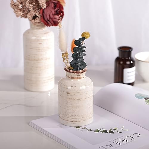 Ceramic Vase Set - 3 Ceramic Small Vases, Farmhouse Country Flower Vase Home Decor, Living Room Decoration, Table Decoration, Fireplace Decor, and Entrance Decorations Centerpieces - color: Beige