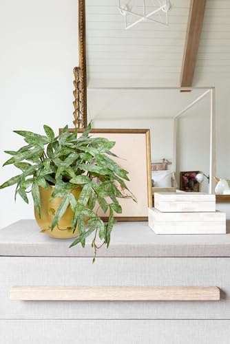 Briful Faux Plants Indoor 9'' Small Artificial Plant with Gold Pot Fake Pteris Cretica Fern Plant for Home Office Room Desk Shelf Decor Indoor - color: Gold