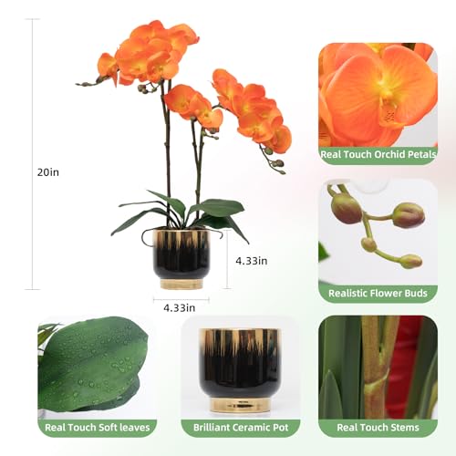 CXGS Orchids Artificial Flowers Real Touch Fake Flowers in Ceramic Pot 20" Orange Faux Orchid Plant Lifelike Silk Phalaenopsis for Centerpiece Hotel Home Indoor Decor - color: Orange- Black Gold Vase