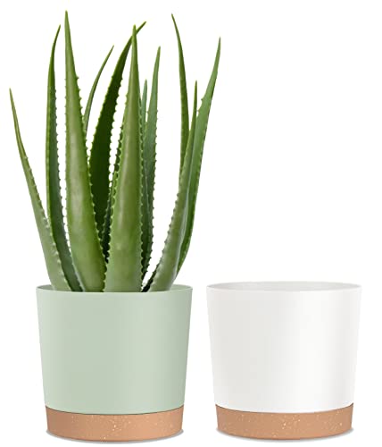 kubvici Plant Pots for Indoor Plants, 2 Pack 10 Inch Plant Pot Plastic Flower Pots Planters with Drainage Saucer for Indoor Outdoor Garden Home (10" Green & White) - color: Green & White, size: 10 inch