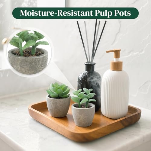 DomeStar Set of 6 Artificial Succulent Plants Potted, Assorted Decorative Faux Succulent Potted Fake Cactus Cacti Plants with Pots - color: Green