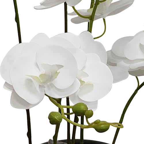ATFL 6 Pack White Orchid Artificial Flowers Real Touch, 32'' Artificial Fake Faux Silk Orchid Stem Bouquets for Wedding Party Home Garden Decor,Orquideas Artificiales para Decora (not Including Pot) - color: White