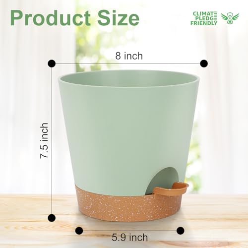 YNNICO 8-Inch Plant Pots, Self-Watering Planters with Drainage Holes & Saucers for Indoor and Outdoor Plants (2-Pack, Green) - color: Green, size: 8 inch