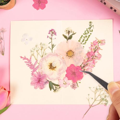 50pcs Pink Pressed Flowers Bulk, Romantic Dried Flower Leaves, Natural Pressed Dried Flowers with Tweezer for DIY Crafts Resin Mold Candles Cake Bridal Scrapbooking Supplies - size: Pink 50pcs