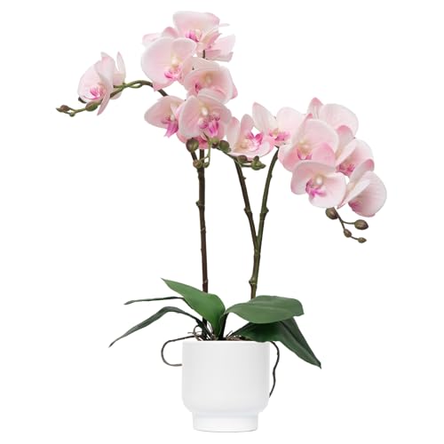 CXGS Orchids Artificial Flowers Real Touch Fake Flowers in Ceramic Pot 20" Pink Faux Orchid Plant Lifelike Silk Phalaenopsis for Centerpiece Hotel Home Indoor Decor - color: Pink- White Vase
