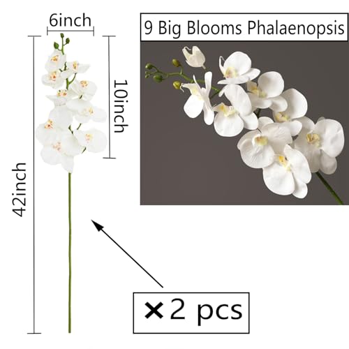 FagusHome Artificial Phalaenopsis Flowers Branches 9 Large Blooms Artificial Orchid Flowers Stem Plants 42 Inches 2 Pcs for Home Wedding Décor (White) - color: White
