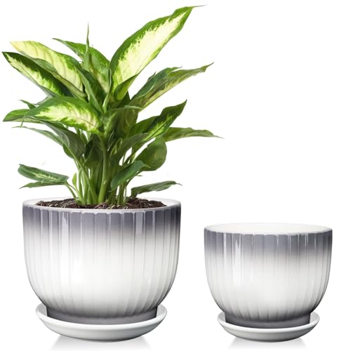 6.7 + 5.5 Inch Ceramic Plant Pots,Planters with Drainage and Saucer,Indoor Pots for Plants,Modern Flower Pots for Home and Office（Gray + White） - color: Gray + White