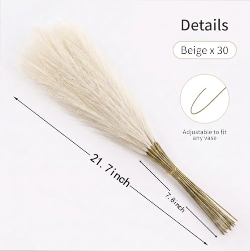 30PCS Artificial Pampas Grass Decor, 21.7" Small Faux Pampas Grass No Shedding Allergy Free, Fluffy Boho Silk Flowers for Vase Filler, Home Living Room Wedding Table Centerpieces, Beige - size: Begie