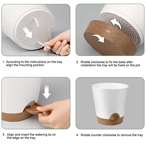 YNNICO Indoor Self Watering Planters with Drainage Holes and Saucers, 8, 7, 6.5, 6, 5.5, 5 Inches, White, 6 Pots - color: White, size: 8+7+6.5+6+5.5+5 inch