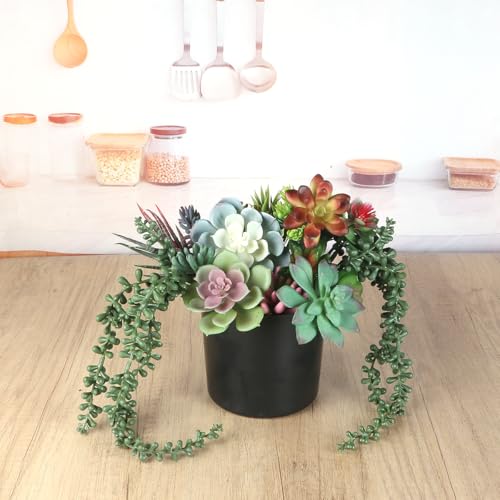 COTSEN 24 Pcs Artificial Succulent Plants Fake Succulent Plants Unpotted Faux Succulents Suitable for Office Family Restaurant Frame Kitchen Indoor Outdoor Decor