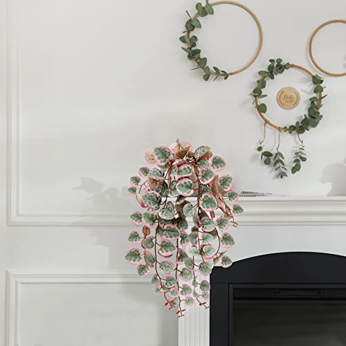 Briful Fake Plants Indoor 16'' Artificial String of Hearts Plants with Ceramic Pot Small Faux Draping Vine Plants for Home Bathroom Table Shelf Office Hotel Decor(Pink) - color: Pink